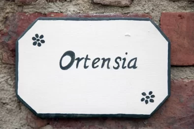 01-1_3df9844067307a7388cbecebbfe22bdc