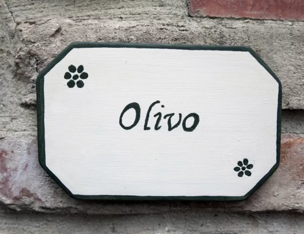 01_b44f3ca56a05d8ce4a8055a00b675832